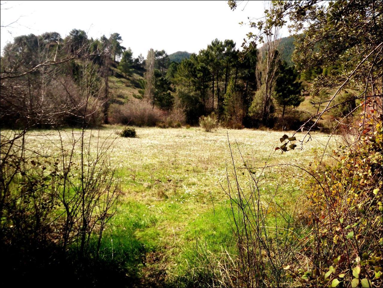 Casas Rurales Picos Del Oso Riópar Zewnętrze zdjęcie