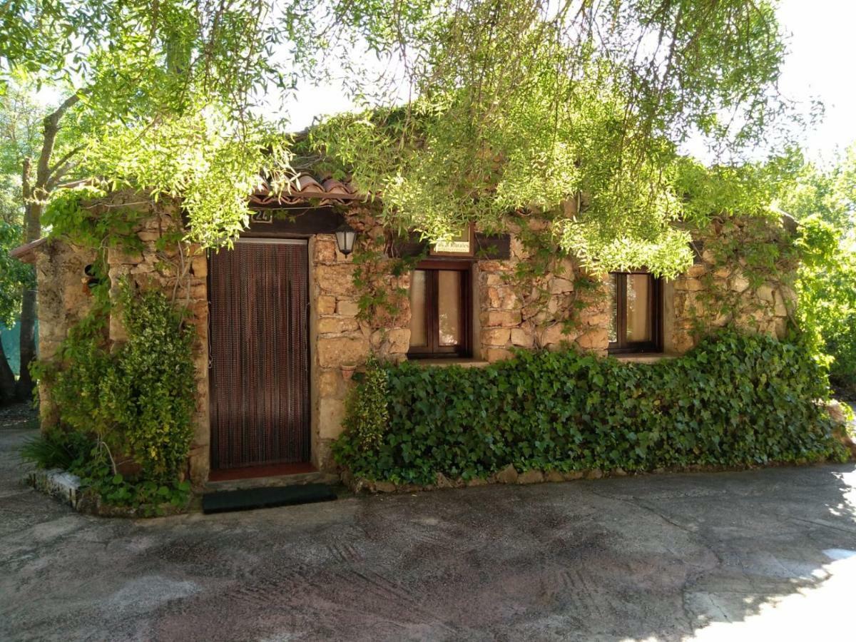 Casas Rurales Picos Del Oso Riópar Zewnętrze zdjęcie