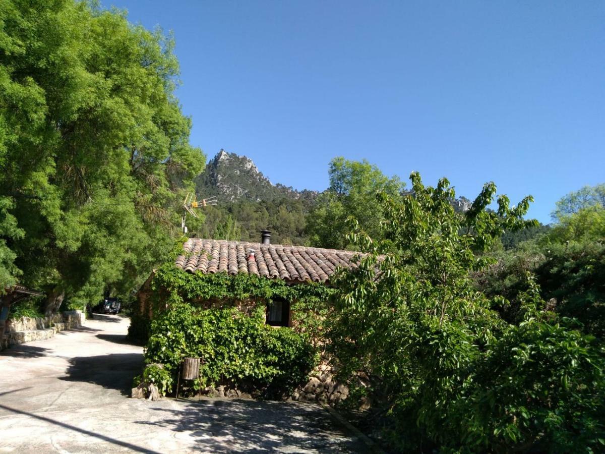 Casas Rurales Picos Del Oso Riópar Zewnętrze zdjęcie